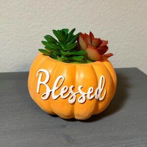 "Blessed" Orange Succulent Pumpkin Fall Decor